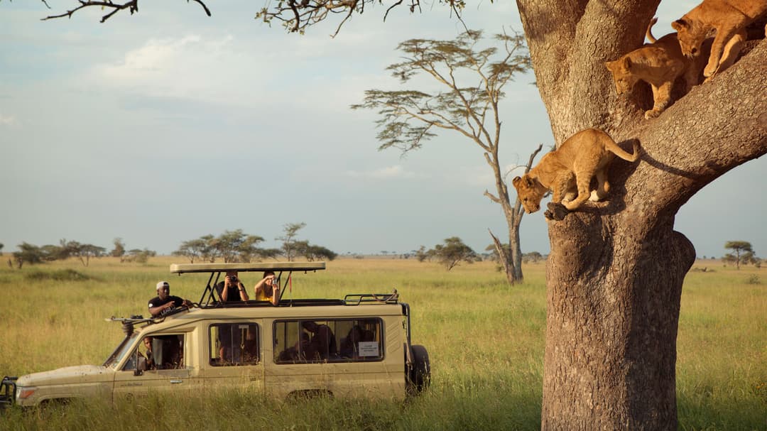 East Africa: Kenya, Tanzania & Zanzibar's Beaches