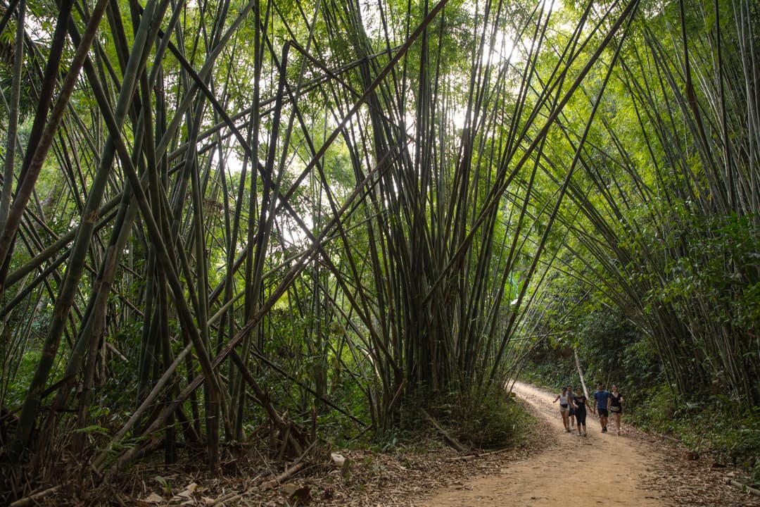 Journeys: Explore Southern Thailand