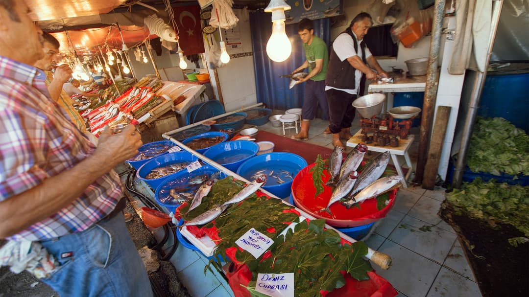 Budapest to Istanbul