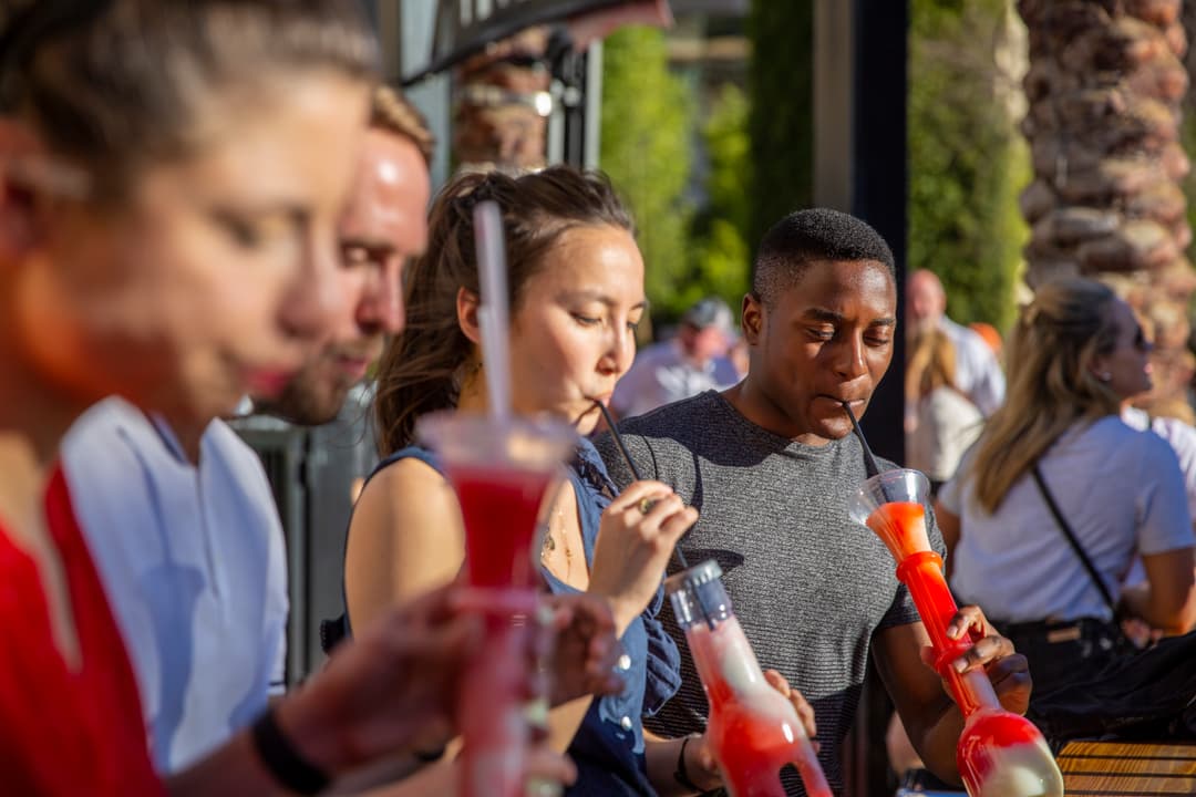 Best of the West Road Trip: California, Utah & Vegas Bright Lights