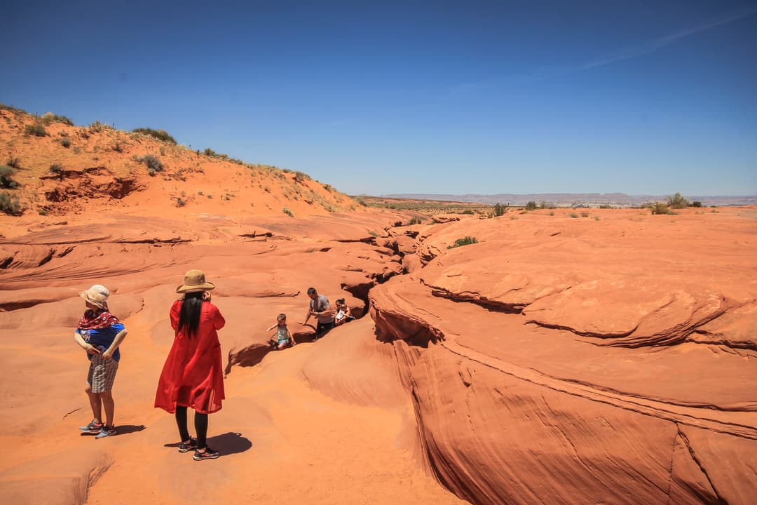 USA National Parks Explorer