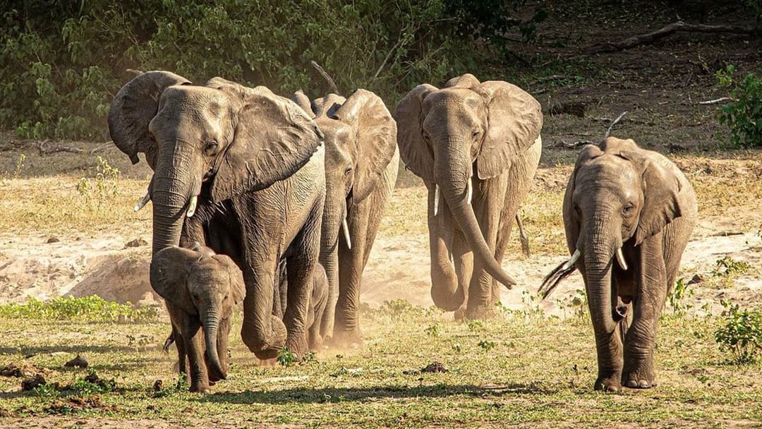 Kruger, Falls & Zimbabwe: Mineral Pools & National Parks