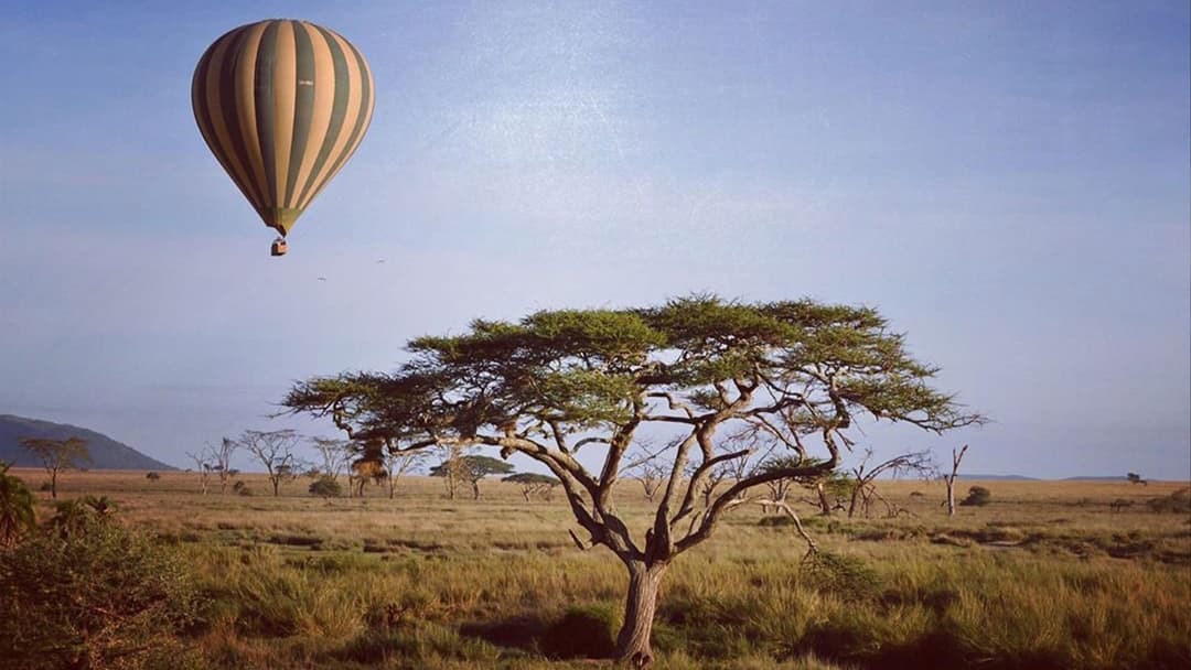 Tanzania Camping Safari