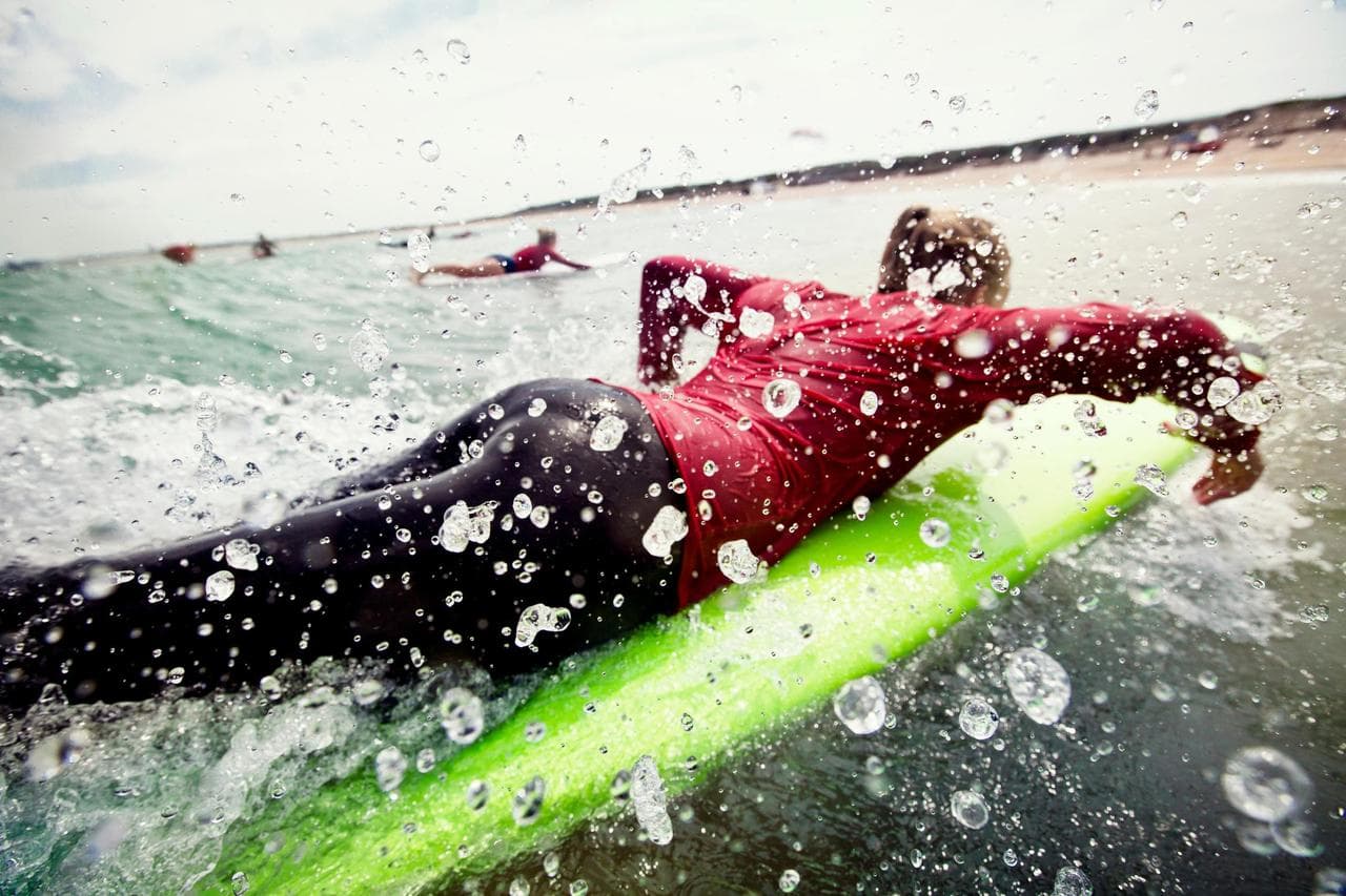 Dive into the aquatic paradise of the Great Barrier Reef