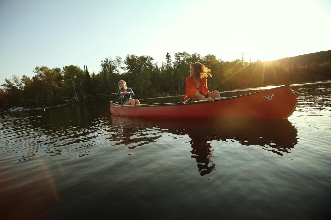 Exploring the bustling city streets or receiving assistance in the vast wilderness