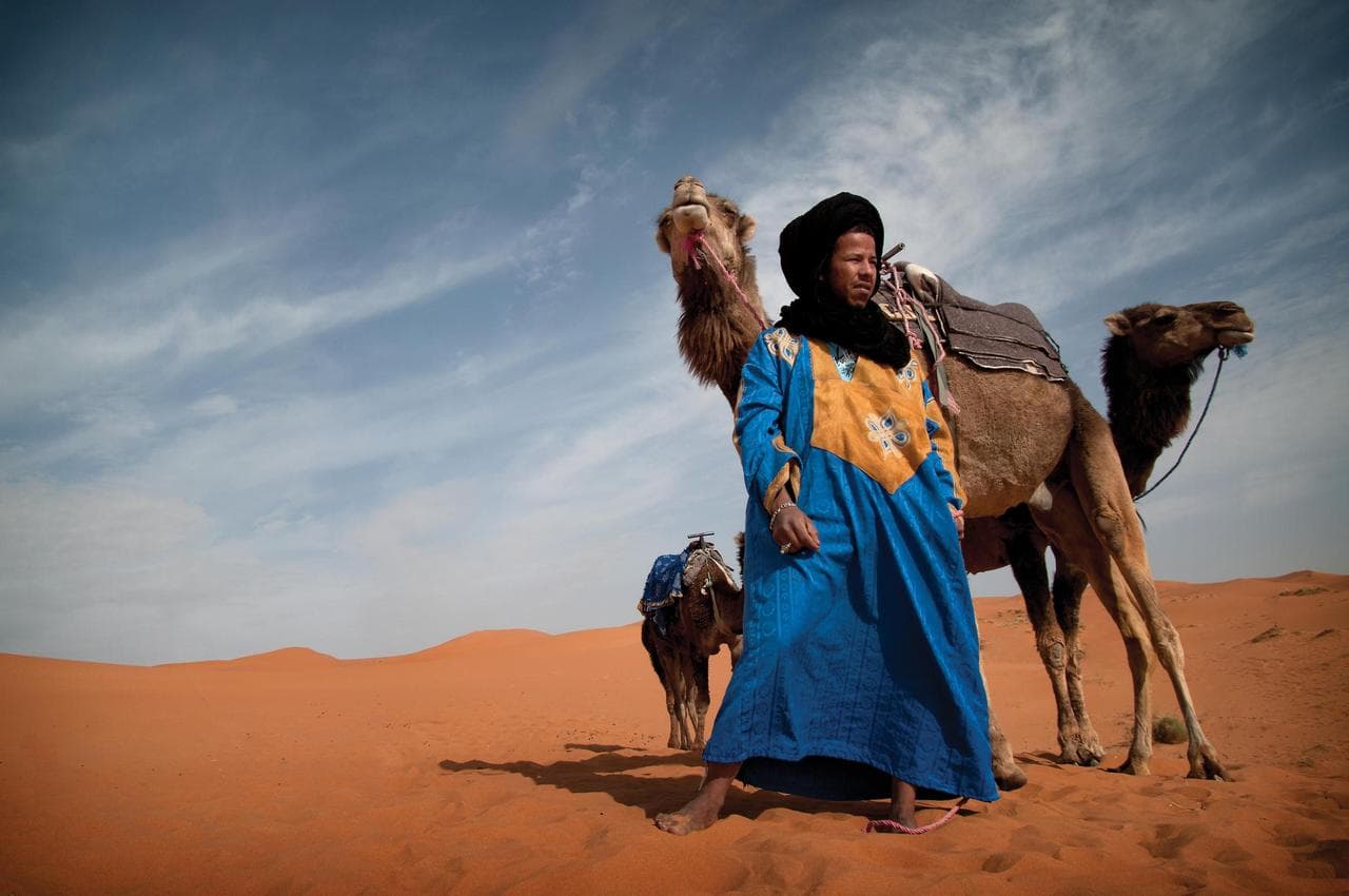 Camel trek under a canopy of stars in the desert