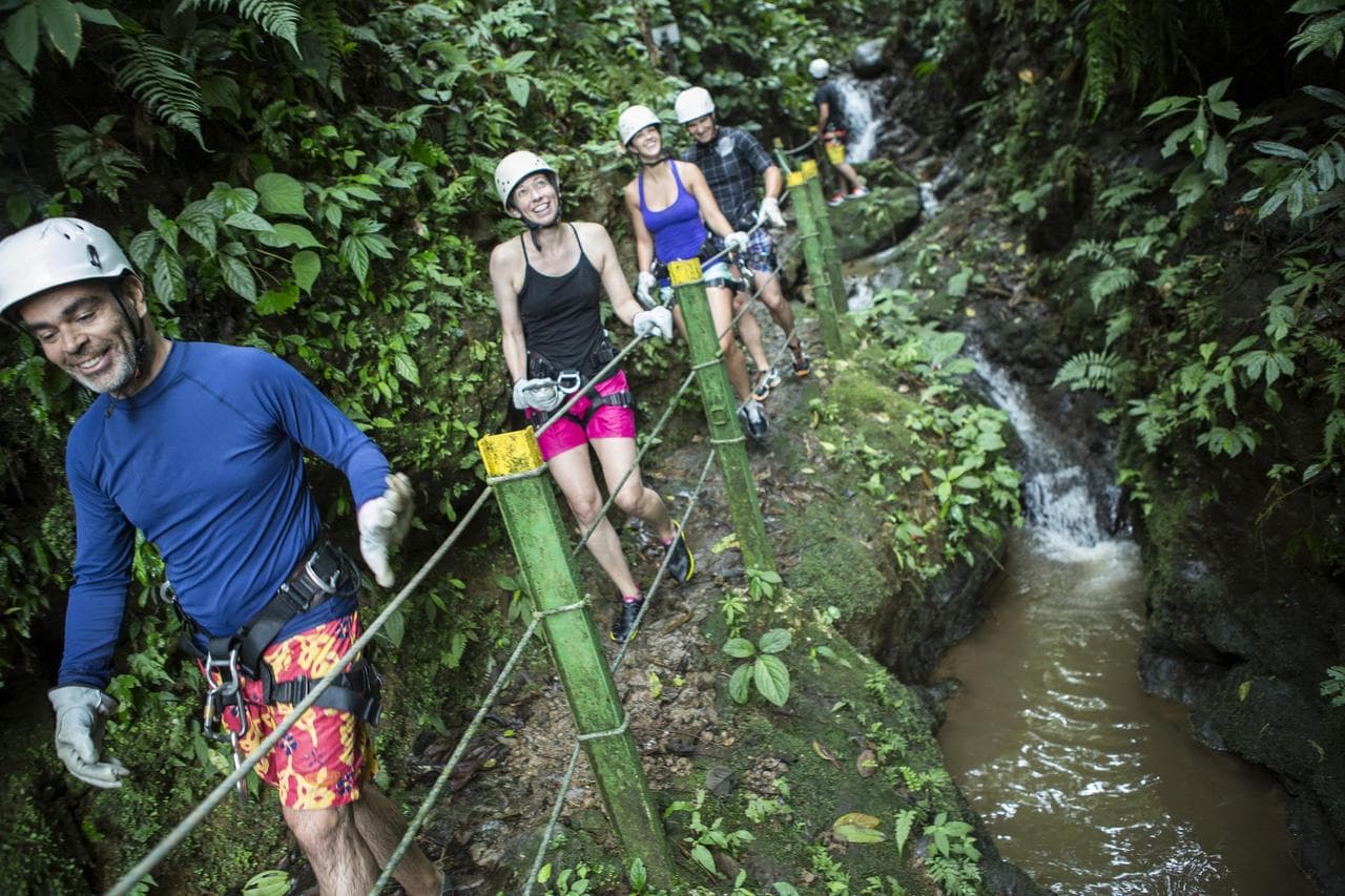 Exploring cloud forests, hanging bridges, and Quetzals