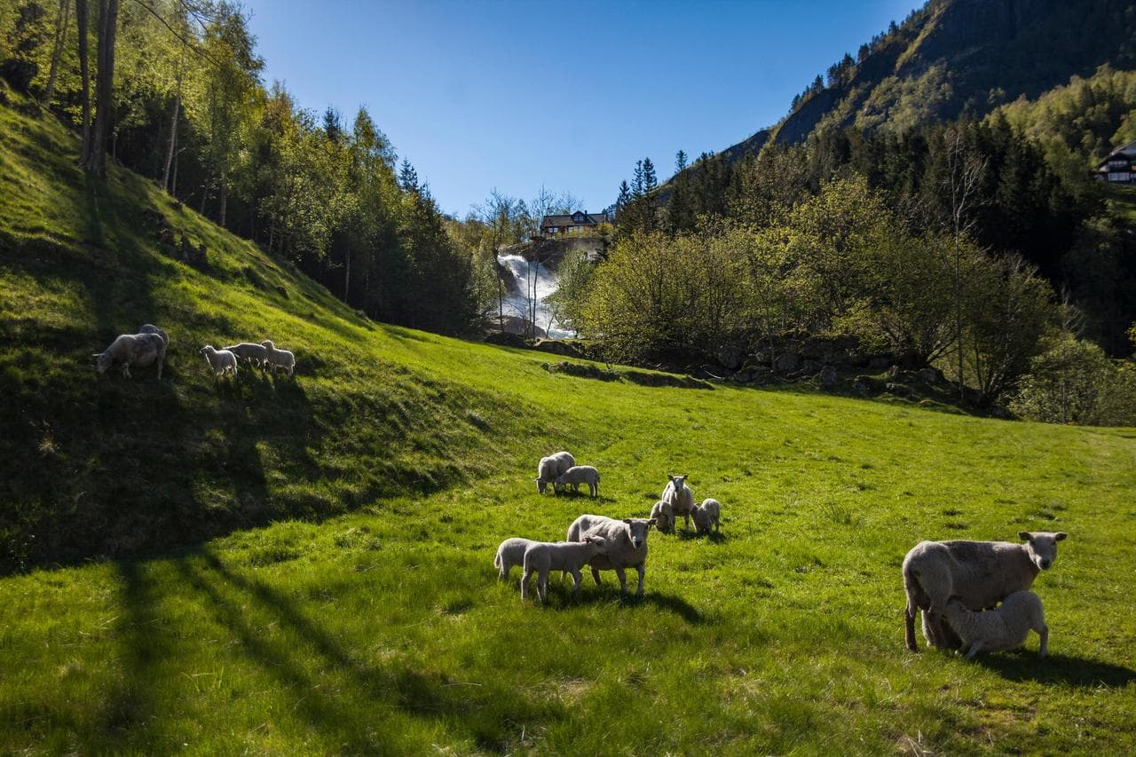 Mountaineering and trekking in Jotunheimen National Park